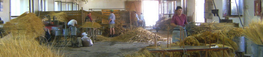 Proces obrade sirka